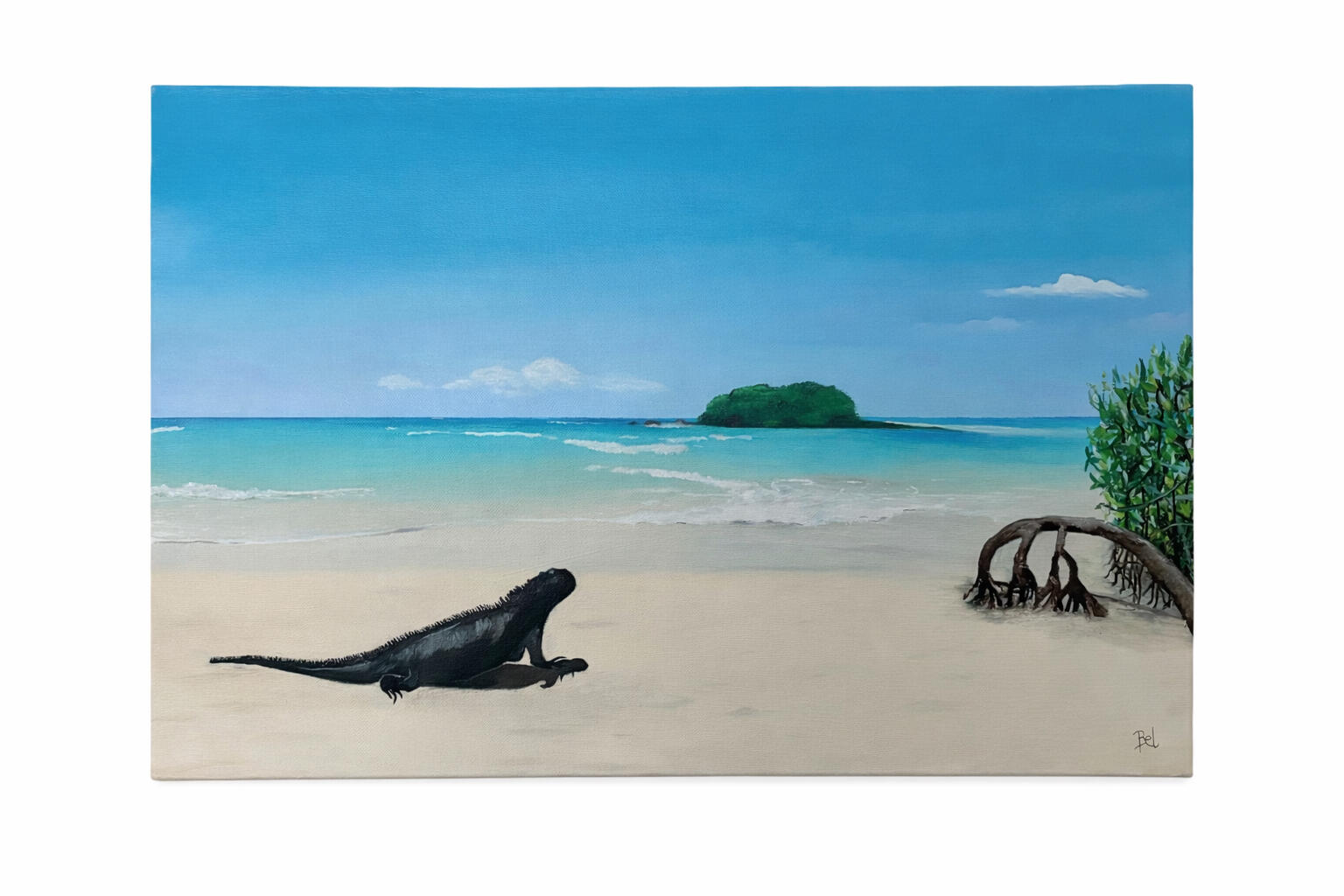 Echoes of the Equator