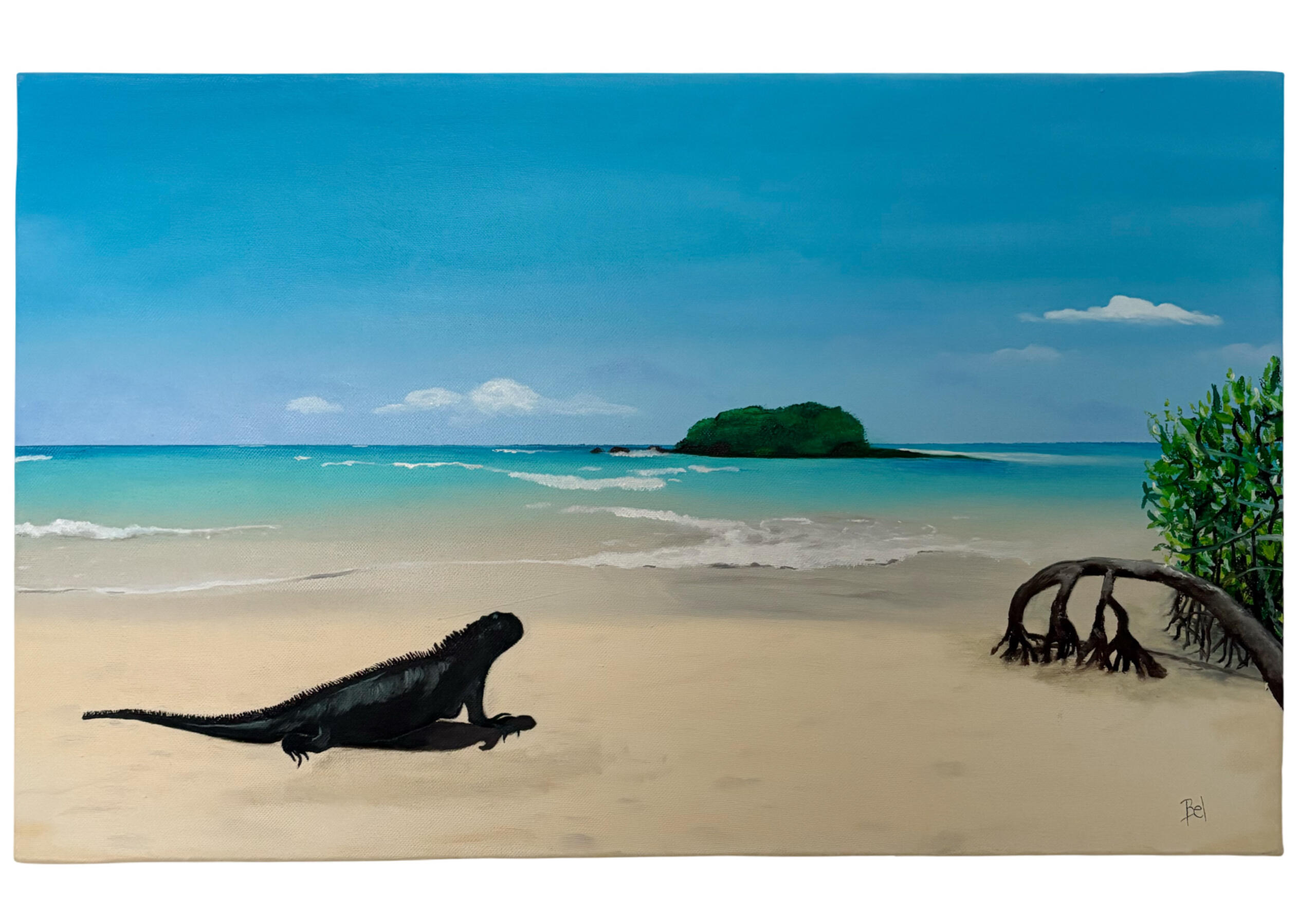 Echoes of the Equator